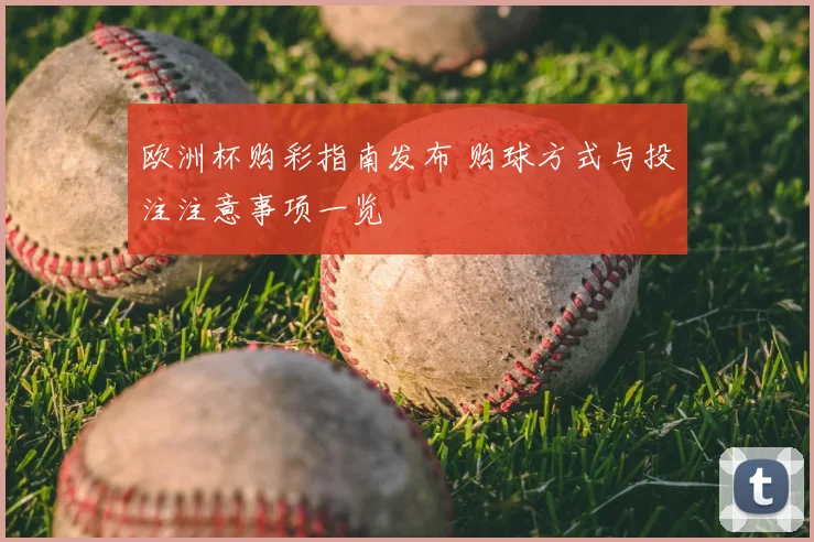 欧洲杯购彩指南发布 购球方式与投注注意事项一览