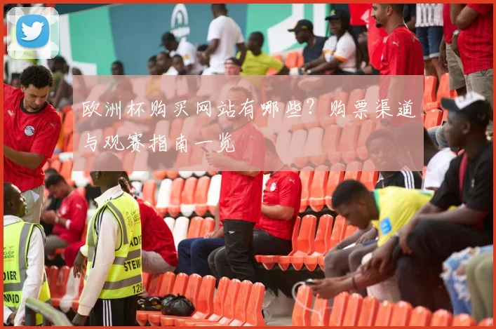欧洲杯购买网站有哪些？购票渠道与观赛指南一览