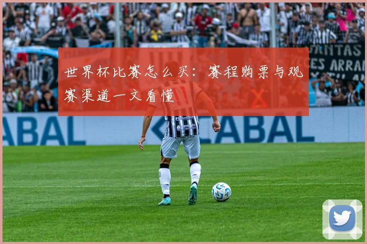 世界杯比赛怎么买：赛程购票与观赛渠道一文看懂
